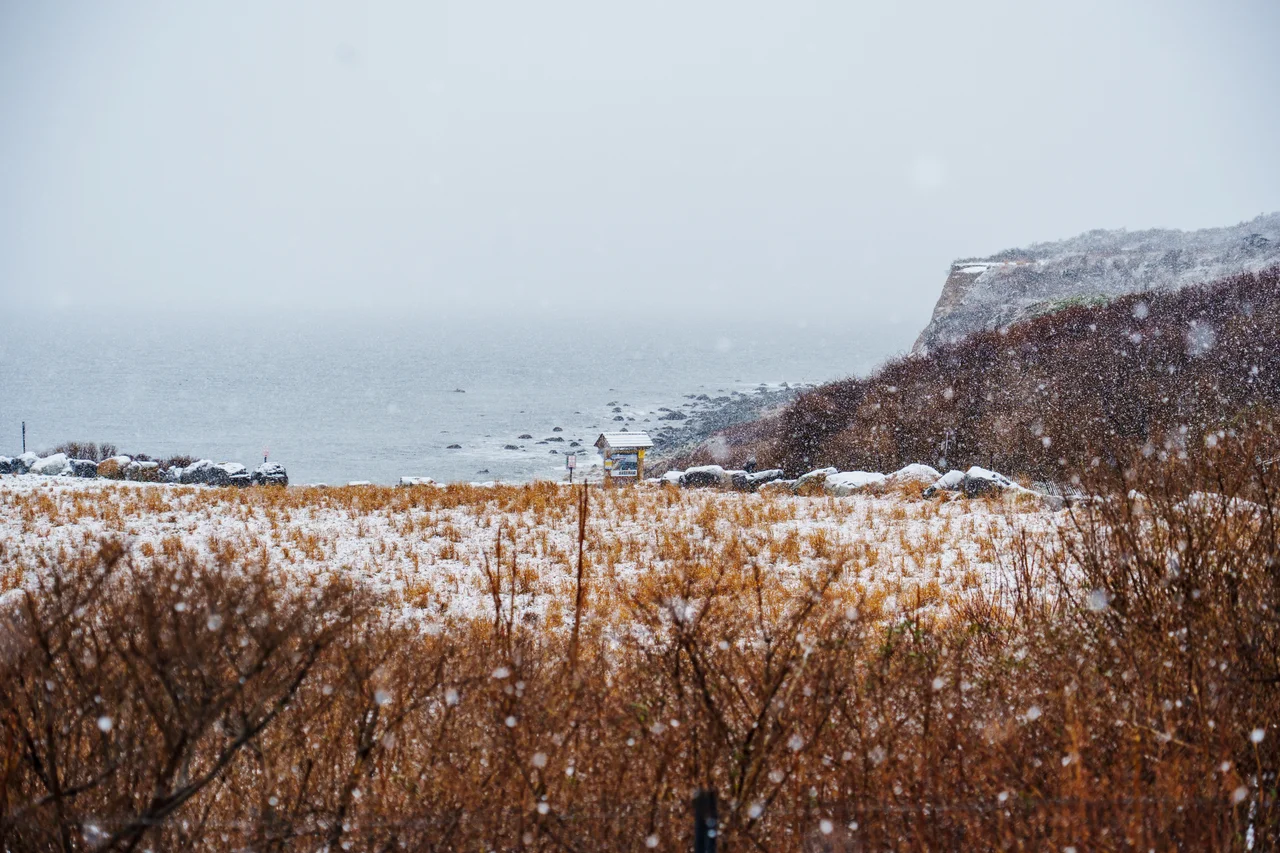 Snow Storm in Montauk