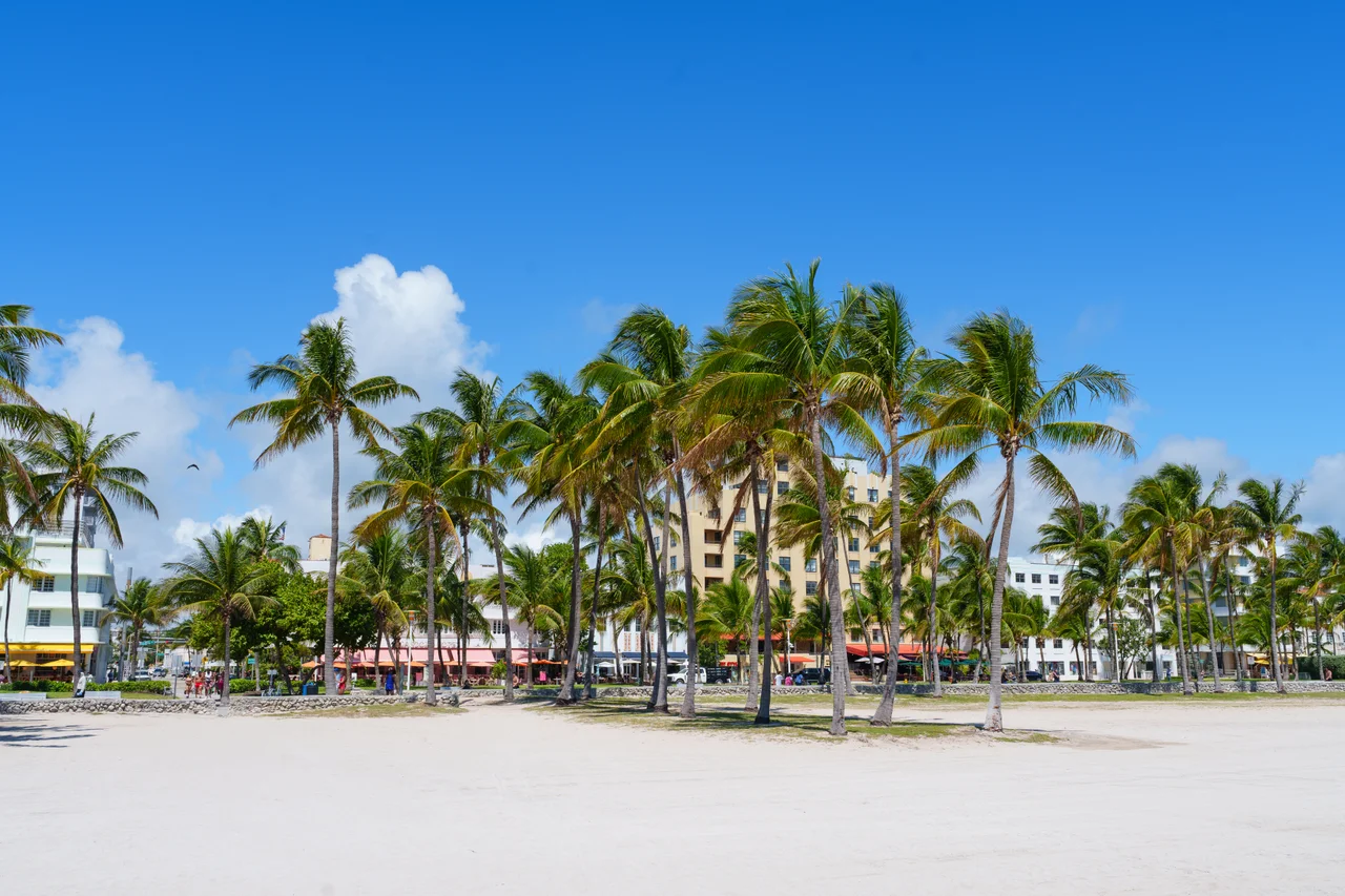 My first solo trip to Miami