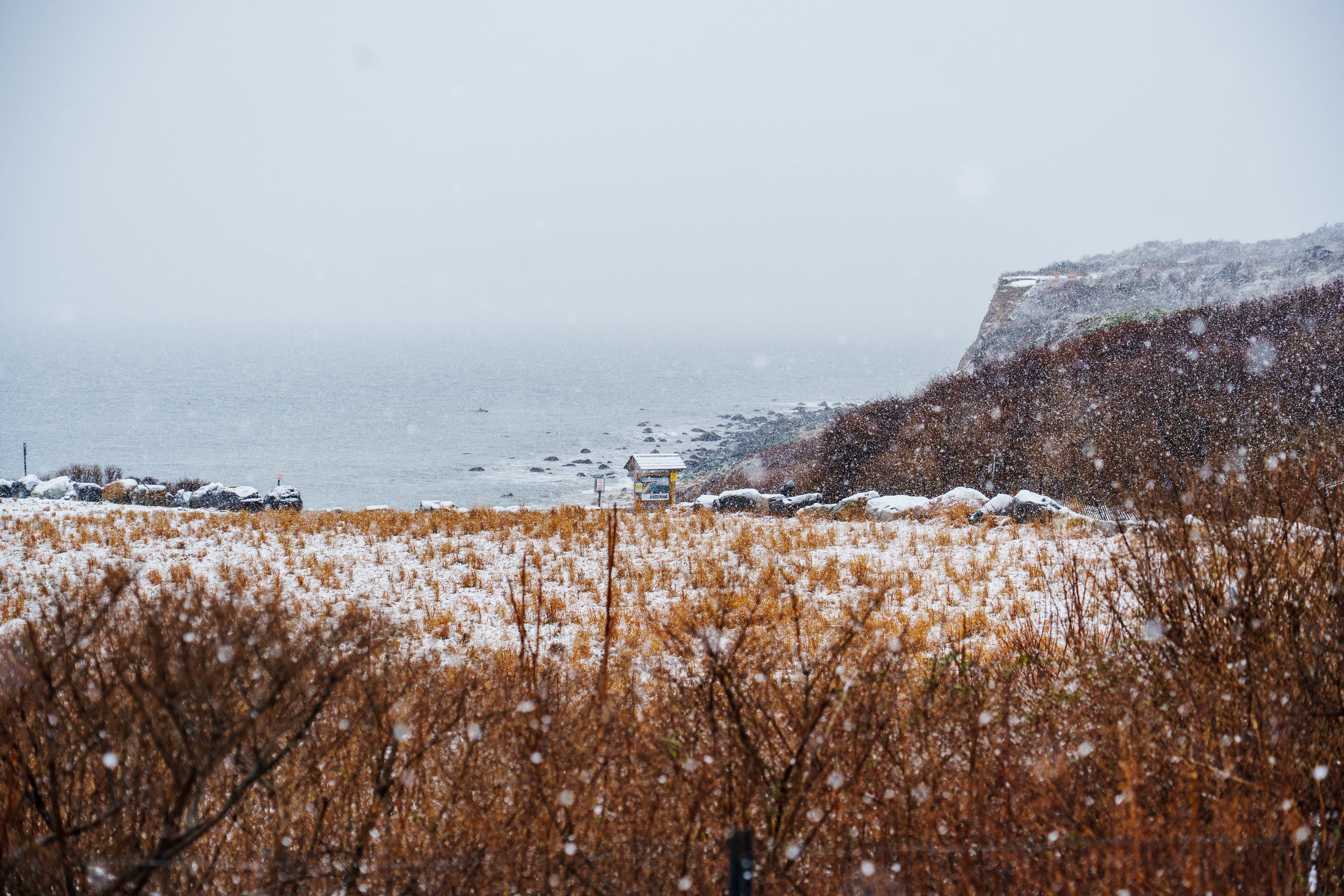 Snow Storm in Montauk